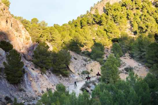 sustainable tourism and leisure Veritas Union Bank